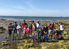 SORTIES NATURE « plantes du littoral & algues »  (Juillet 2022) -  Sarzeau Golfe du Morbihan 56-1